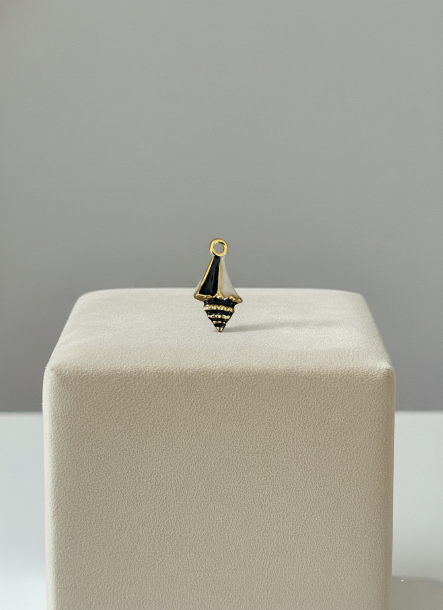 Coquillage Noir et Blanc