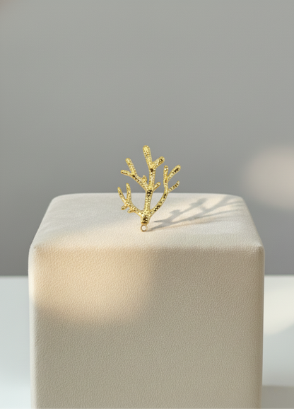 Corail