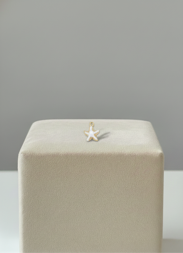 Étoile de mer blanche