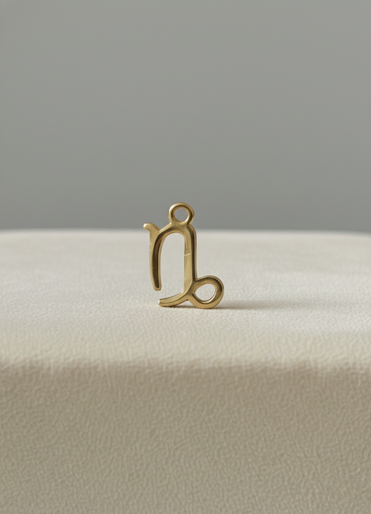 Signe Astro Capricorne