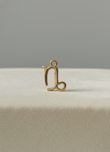 Signe Astro Capricorne