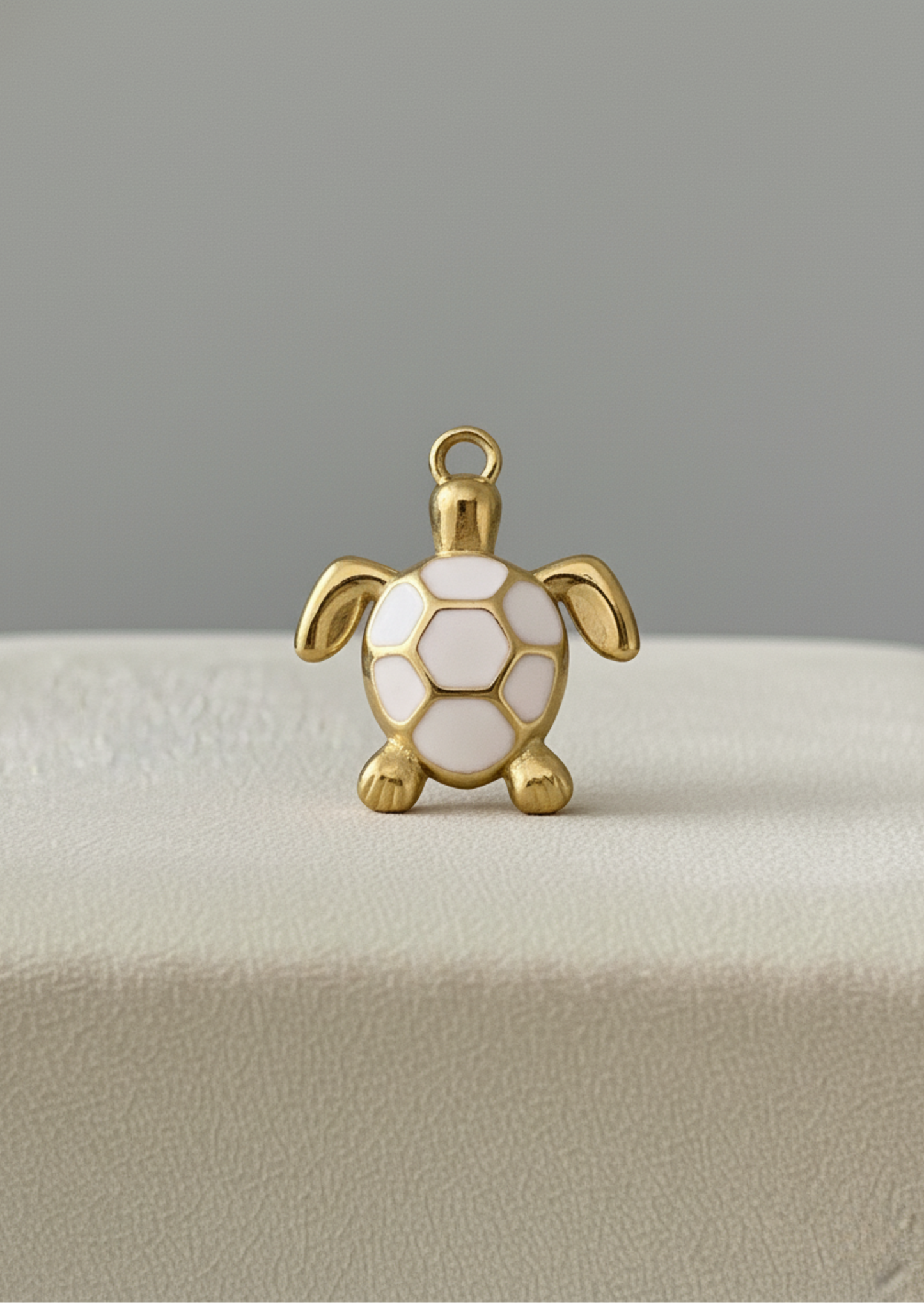 Tortue Blanche