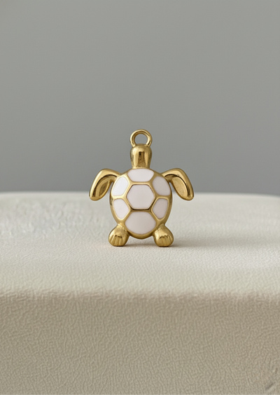 Tortue Blanche