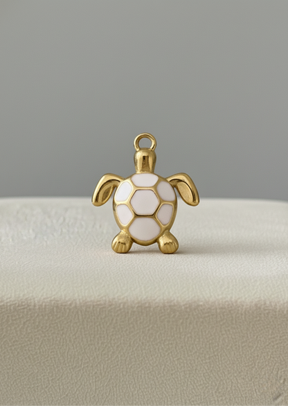 Tortue Blanche