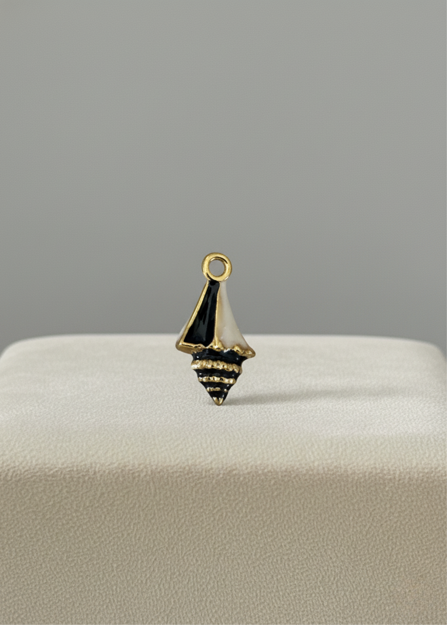 Coquillage Noir et Blanc