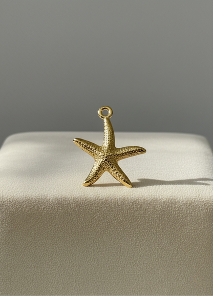 Étoile de mer