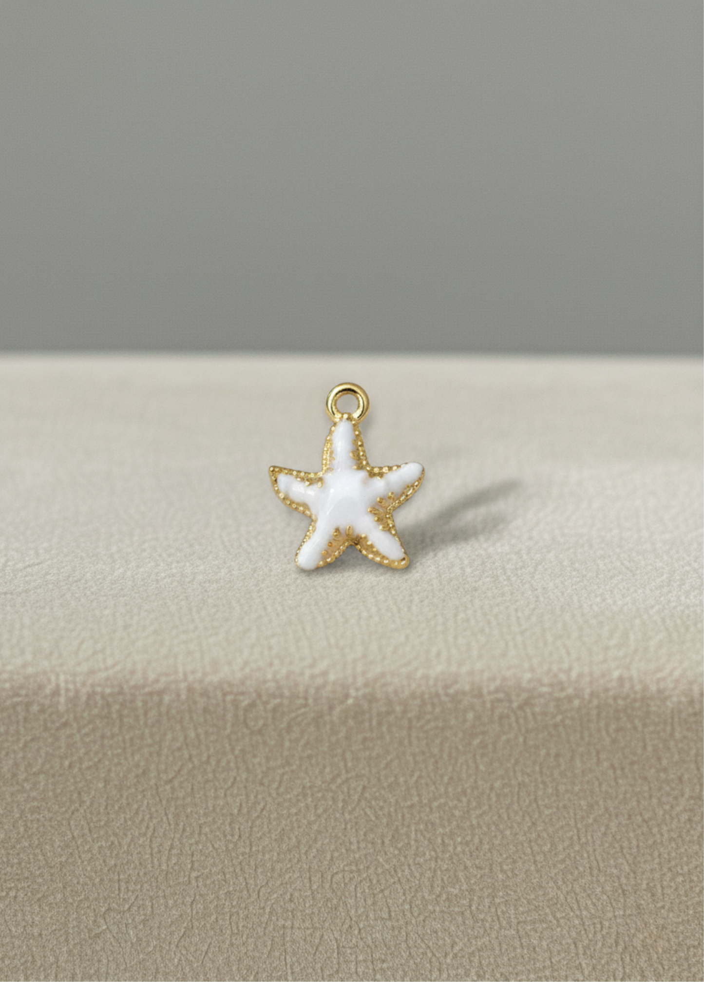 Étoile de mer blanche