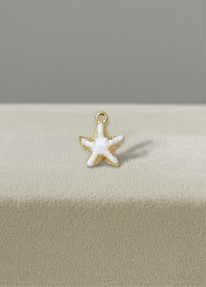 Étoile de mer blanche