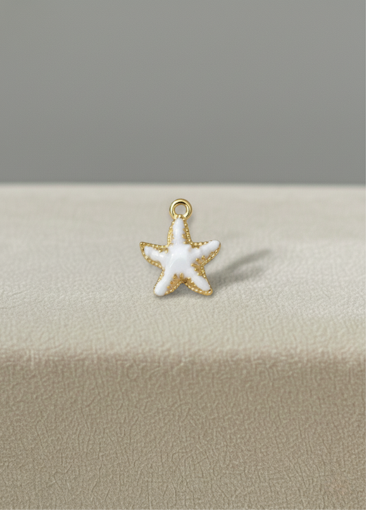 Étoile de mer blanche