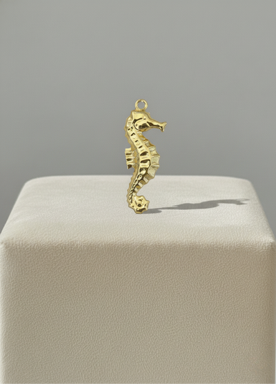 Hippocampe
