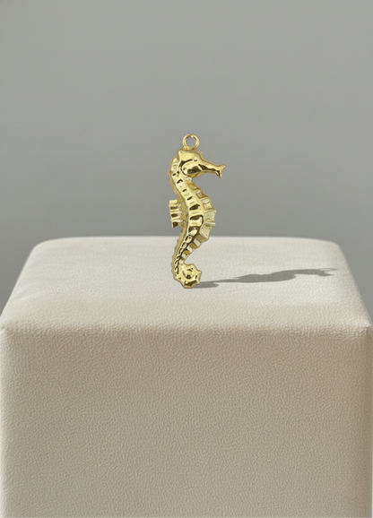 Hippocampe